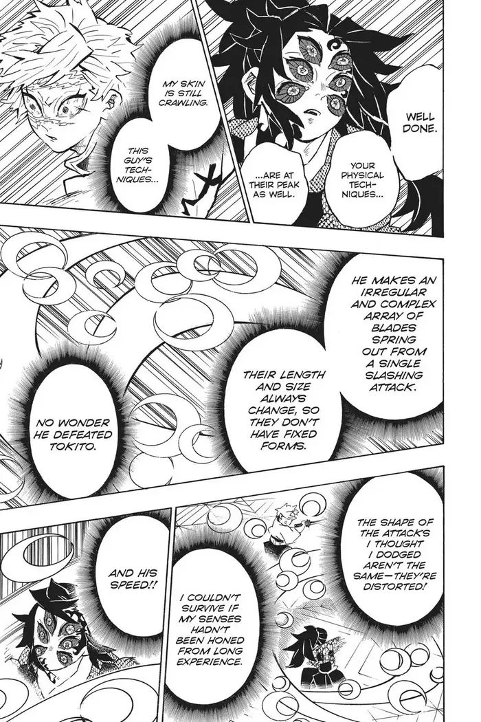Demon Slayer Chapter 167 image 05_optimized